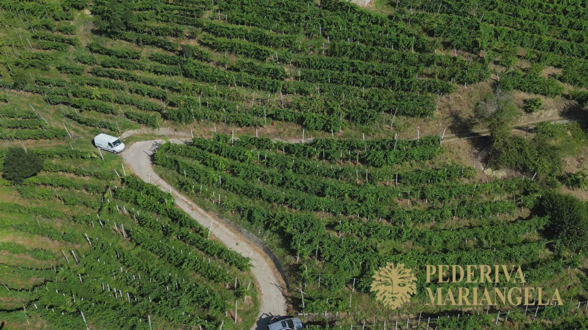 Carica il video: 